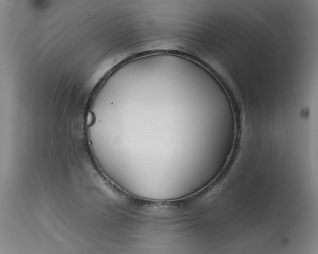 X0000113620834200910091529