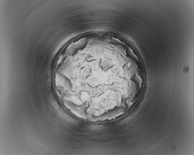 X0000113620835200910091529