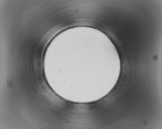 X0000113620836200910091529