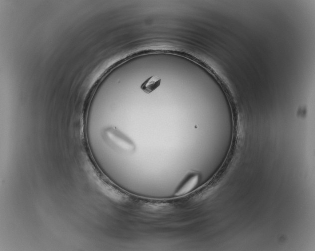 X0000113620837200910091529