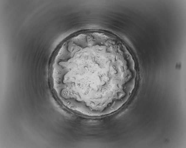 X0000113620839200910091529