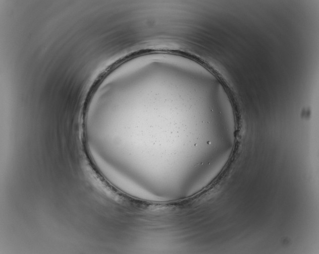 X0000113620840200910091529