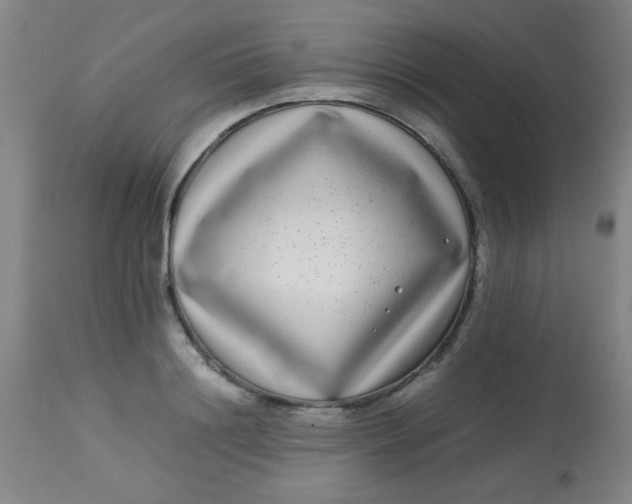 X0000113620844200910091529