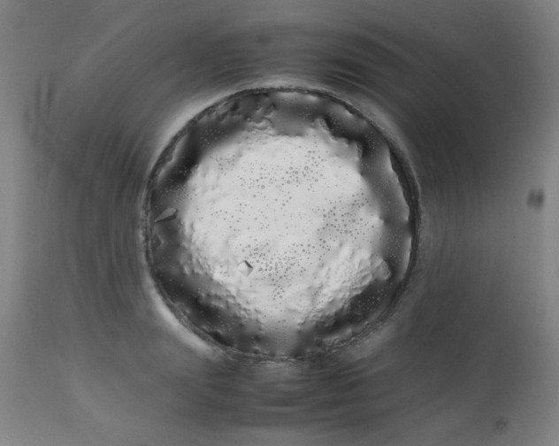 X0000113620847200910091529