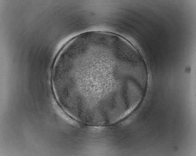 X0000113620854200910091529