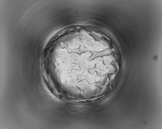 X0000113620855200910091529