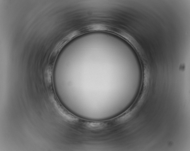 X0000113620857200910091529