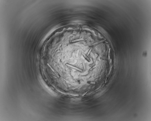 X0000113620859200910091529