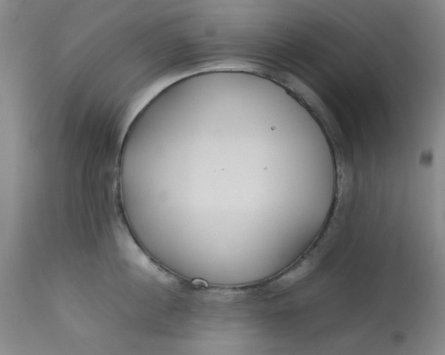 X0000113620860200910091529