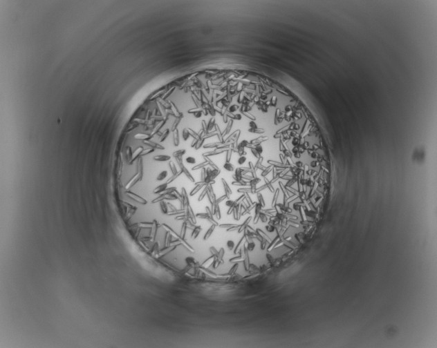 X0000113620861200910091529