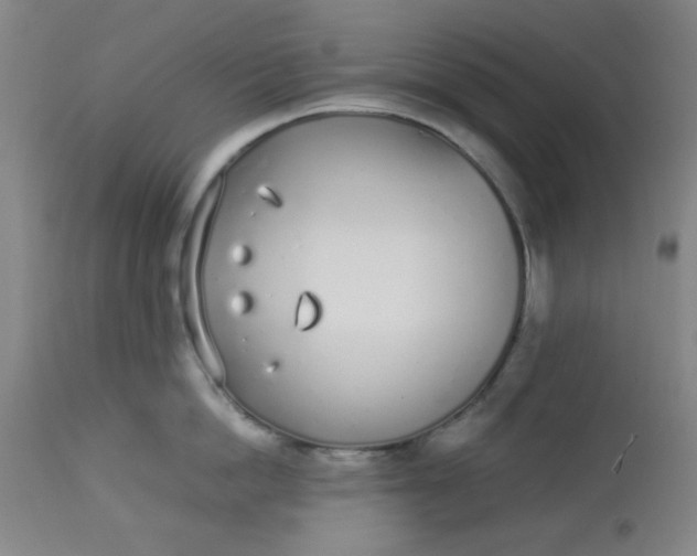 X0000113620862200910091529