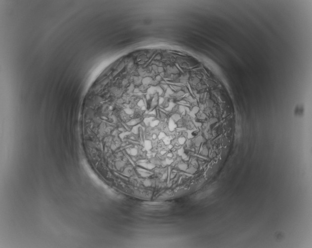 X0000113620863200910091529