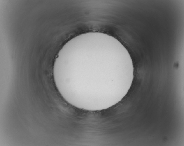 X0000113620865200910091529