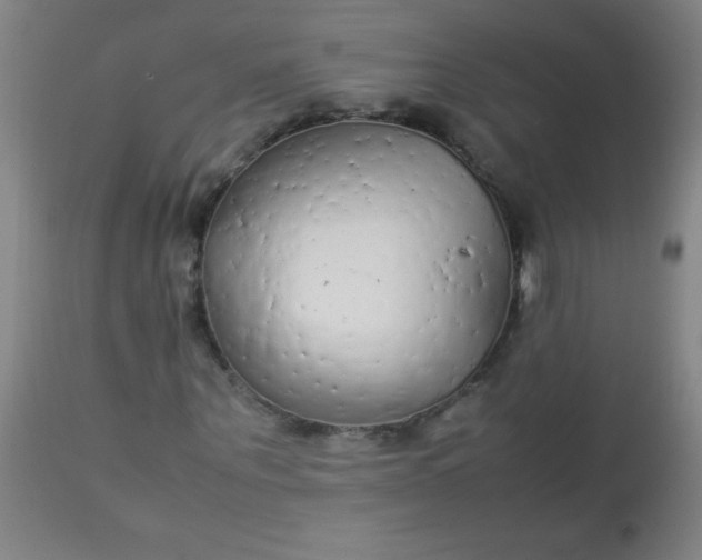 X0000113620867200910091529