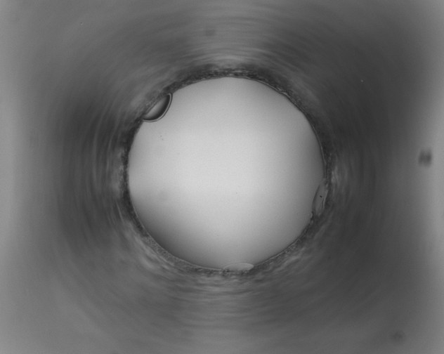 X0000113620868200910091529