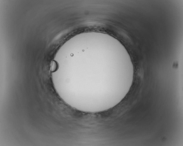 X0000113620869200910091529