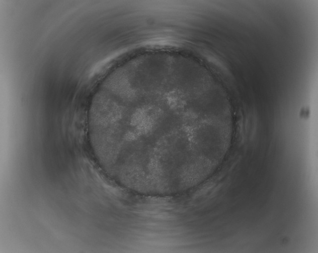 X0000113620870200910091529