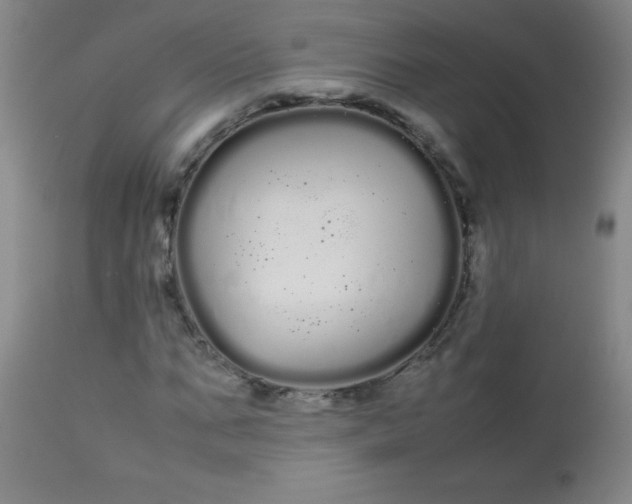 X0000113620871200910091529