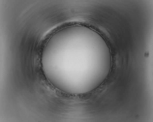 X0000113620872200910091529