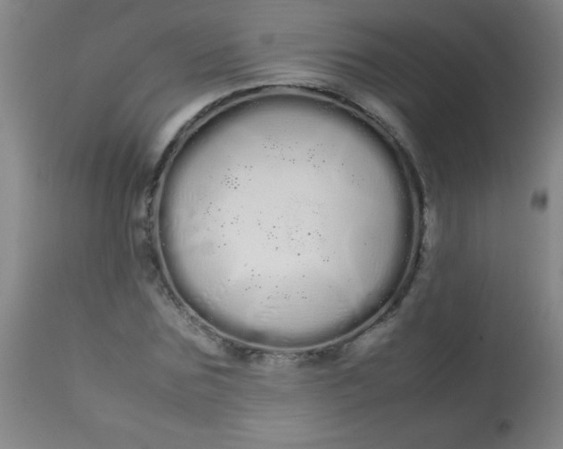 X0000113620875200910091529