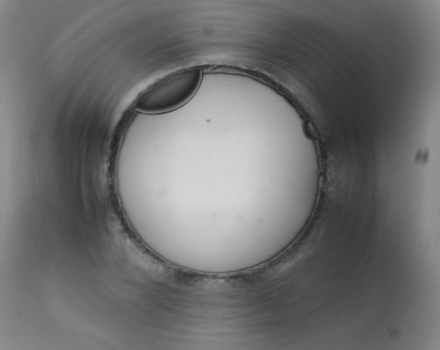 X0000113620880200910091529