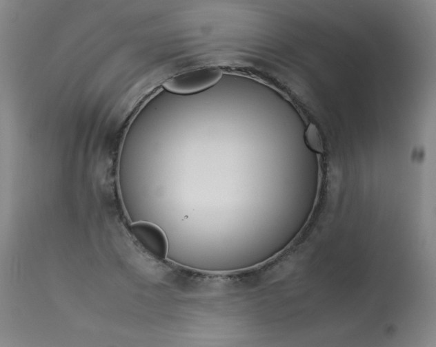 X0000113620881200910091529