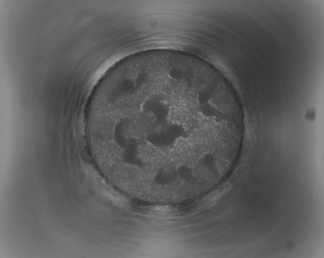 X0000113620883200910091529