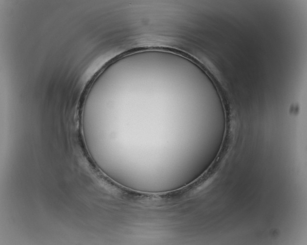 X0000113620885200910091529