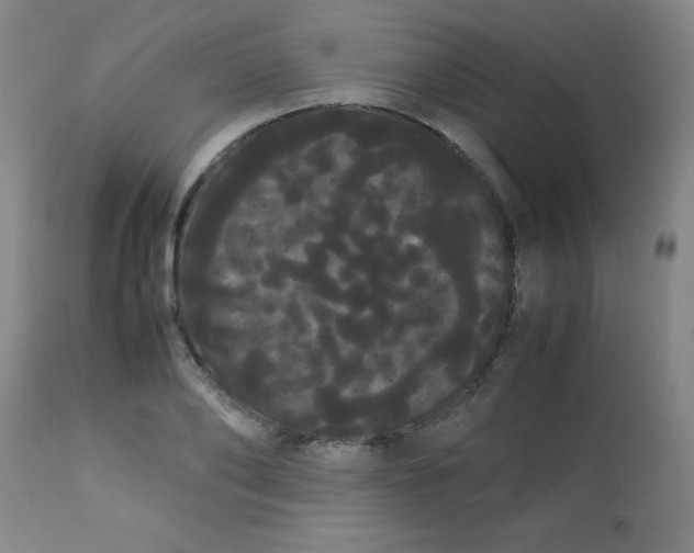 X0000113620886200910091529