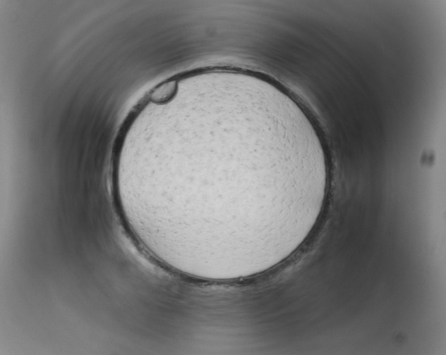 X0000113620888200910091528