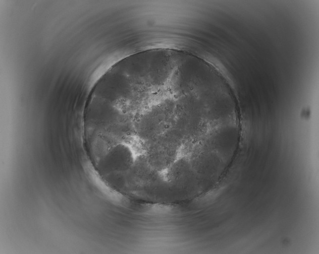 X0000113620890200910091528