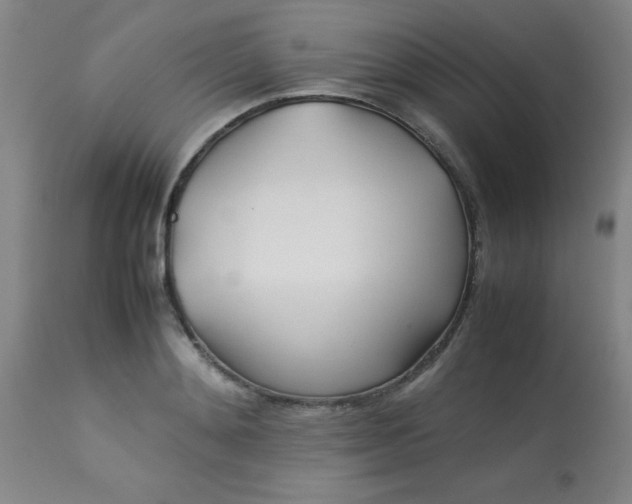 X0000113620892200910091528