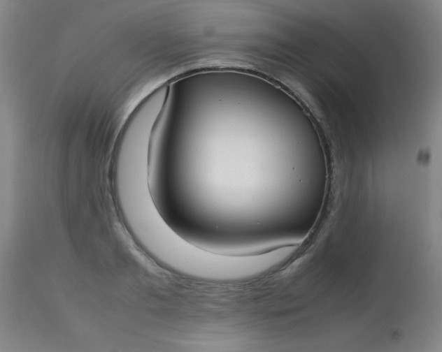 X0000113620893200910091528