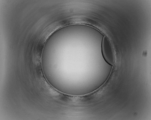 X0000113620897200910091528