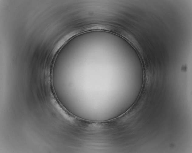 X0000113620898200910091528