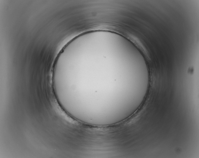 X0000113620900200910091528