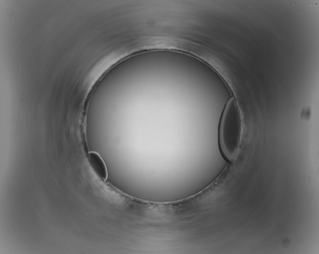 X0000113620901200910091528