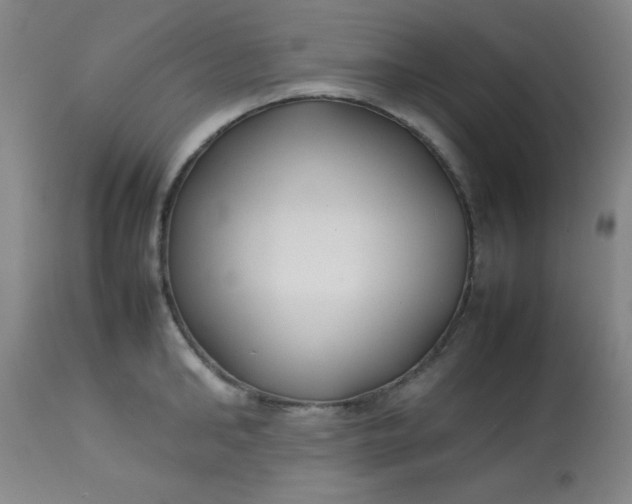 X0000113620902200910091528