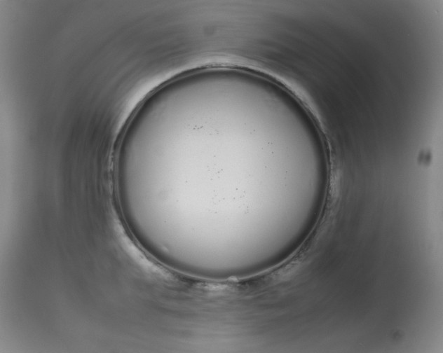 X0000113620903200910091528