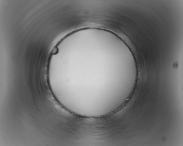 X0000113620904200910091528