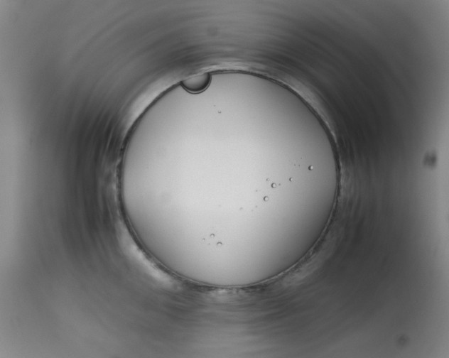 X0000113620906200910091528