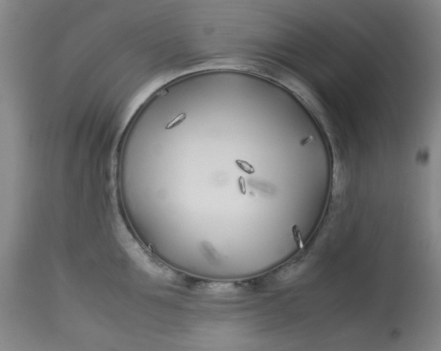 X0000113620907200910091528