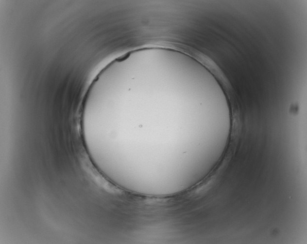 X0000113620908200910091528