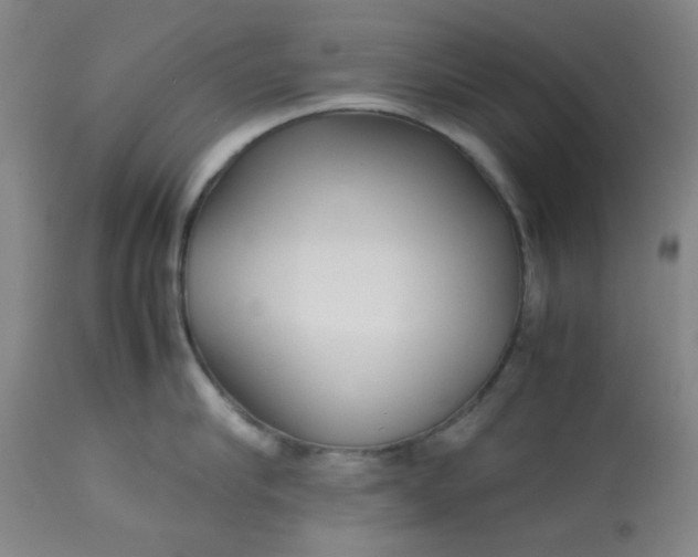 X0000113620910200910091528