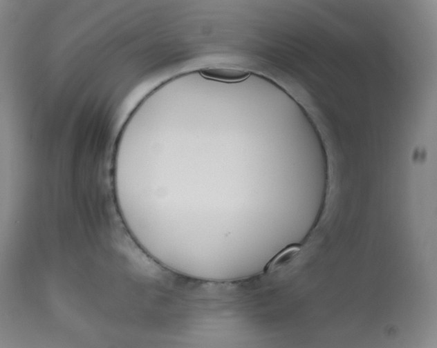 X0000113620912200910091528