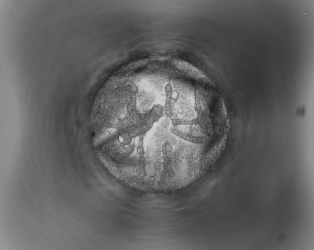 X0000113620913200910091528