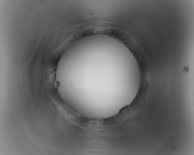 X0000113620914200910091528