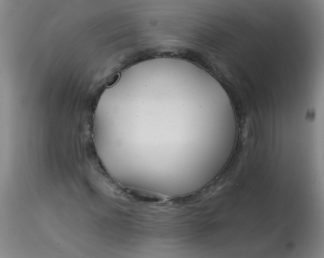 X0000113620916200910091528