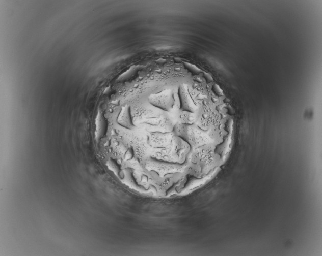 X0000113620917200910091528