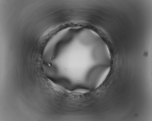 X0000113620919200910091528